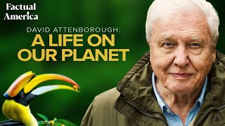 A Life on Our Planet Sir David Attenboroughs Witness Statement [upl. by Poree]