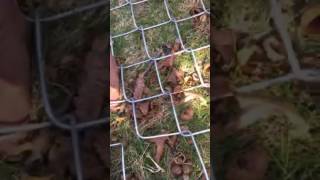 DIY Tip How to seam or splice chain link Fence together [upl. by Komarek671]