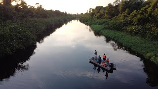 Canje River Tour Guyana [upl. by Nosredna]