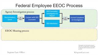 Federal Employee EEO Process From Informal Complaint to Federal Court [upl. by Marchal]