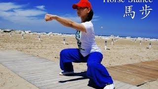 WUSHU TUTORIAL Horse Stance [upl. by Aninad]