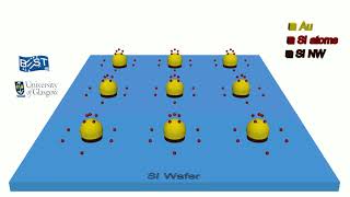 Si Nanowire Synthesis Process [upl. by Syhr]