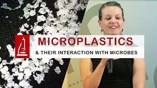 Microplastics in the Water and their Interaction with Microbes [upl. by Enelrae]