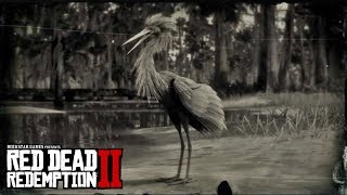 RED DEAD REDEMPTION 2  Snowy Egret amp Reddish Egret Location SnowyReddish Egret Plume Location [upl. by Ulane]