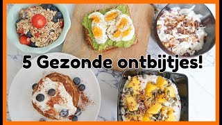 5 Recepten voor een Gezond Ontbijt  OPTIMAVITA [upl. by Enaek278]