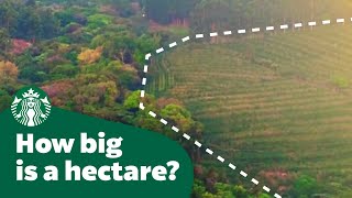 How big is a hectare [upl. by Caitrin]