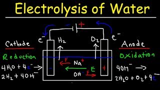 Electrolysis of Water  Electrochemistry [upl. by Kempe593]