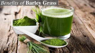 9 Amazing Health Benefits of Barley Grass [upl. by Keeler497]