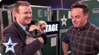 MAX THE DOG CHASES BGT PRESENTER  Britains Got Talent [upl. by Donalt161]