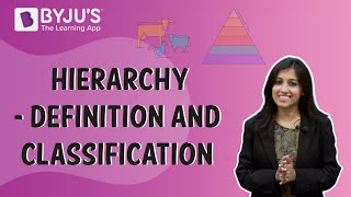 Hierarchy  Definition And Classification [upl. by Jordain]