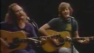 Teach the children well  with lyrics  Crosby Stills [upl. by Micro]