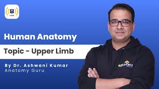 Upper Limb  Human Anatomy  Dr Ashwani Kumar [upl. by Shepley]