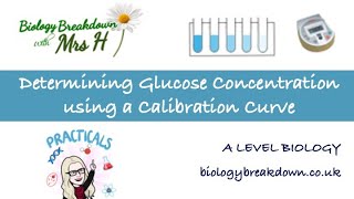 Determining Glucose Concentration using a Calibration Curve [upl. by Mcquade491]